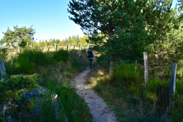 Voyage solo sur le chemin de Compostelle